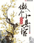 在古代做个小县官