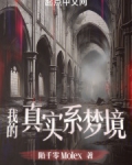 我的真实系梦境