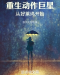 重生动作巨星：从好莱坞开始