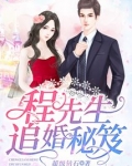 程先生追婚秘笈 超级钻石