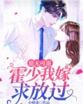 退无可退：霍少我嫁求放过