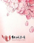 穿越之腹黑军嫂
