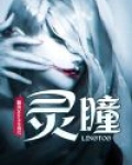 灵瞳鉴宝