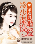 挚宠逃妻：冷少谋婚设爱