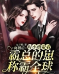 离婚之后锦时袅袅