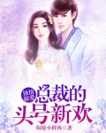 蚀骨危情总裁的罪妻全文免费