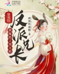 穿书后,我嫁给了男主的反派兄长小说