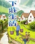 下庄村全景图