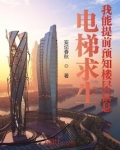 电梯求生：我能提前预知楼层信息