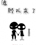 嘘顾队来了txt百度云