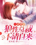 一夜情深：狼性总裁，不请自来