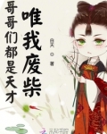 哥哥们都是天才唯我废柴TXT