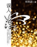 误入浮华 不经语 小说