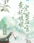 贵妃娘娘宠冠后宫