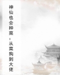 神仙菜是什么菜