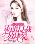 入骨暖婚，霸道总裁放肆爱