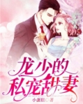 龙少的替婚新娘全文免费阅读