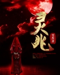 灵兆小说全文免费阅读