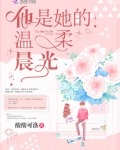 他是她的温柔晨光小说