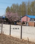 村中烟雨