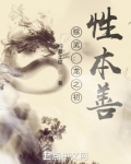 综武 龙之初