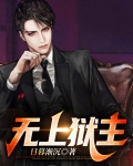 无上剑主 小说