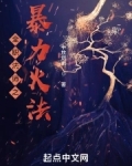 全职法师之暴力火法