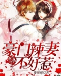 重生空间：豪门辣妻不好惹