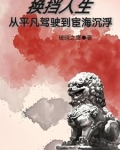 换挡人生：从平凡驾驶到宦海沉浮