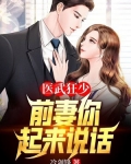 医武狂少，前妻你起来说话