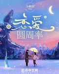 圆周率的发展史