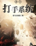 诸天打手系统三藏