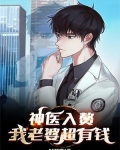 神医入赘，我老婆超有钱