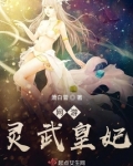 网游：灵武皇妃