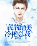 我的绝美冷艳总裁