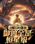 1级1次强化，御兽全是恒星级