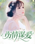 伤情谋爱小说百度云TXT