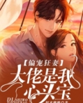 偏宠狂妻：大佬是我心头宝