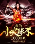 播放小火球的作文