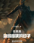 在美漫做蝙蝠侠的日子笔趣阁