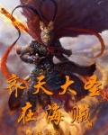齐天大圣在海贼有几个船员
