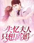 失忆后夫人要离婚笔趣阁