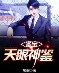 天眼鉴宝师zip