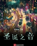圣诞之音免费阅读