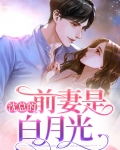 穿成白月光她前妻TXT下载