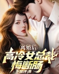 离婚后,高冷女总裁悔断肠