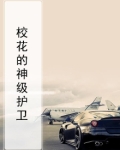 校花的神级保安