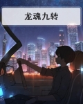 龙魂九转