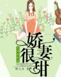 小说九零恰时光