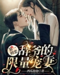 第一初恋,辞爷的限量宠妻 第68章
